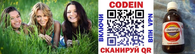 Кодеиновый сироп Lean Purple Drank  mega рабочий сайт  Копейск 
