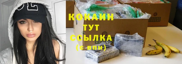 прущие грибы Надым