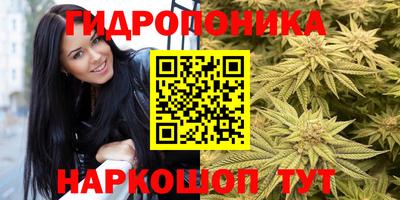 синтетический гашиш Будённовск