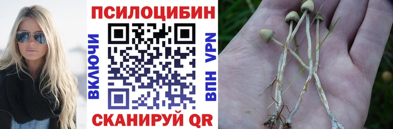 Псилоцибиновые грибы ЛСД  Копейск 