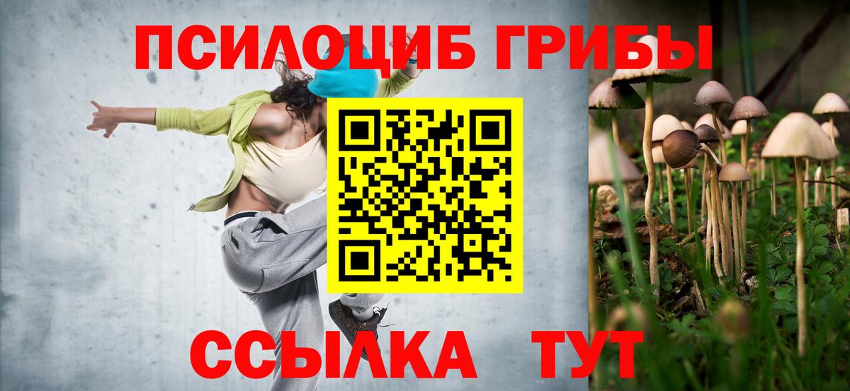 Копейск  магазин продажи наркотиков  Вход с VPN  Псилоцибиновые грибы прущие грибы 