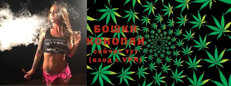 Конопля SATIVA & INDICA  Копейск 